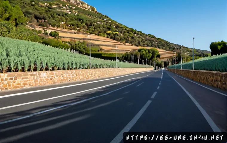 Jebel Hafeet desde Abu Dabi: cómo planificar la subida, transporte y opciones de visita 4 아부다비 자블 하피트 산 관련 이미지 2